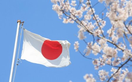 Японд буй монгол иргэд хулгайн гэмт хэрэгт сэжиглэгдэх тохиолдол  эрс нэмэгджээ