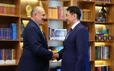 Нөмрөгийн дархан цаазат газарт тахь нутагшуулна