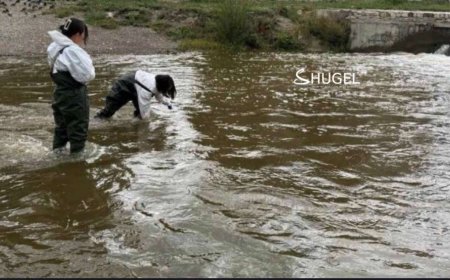 Сэлбэ, Дунд голуудын усны дээжийг шинжилэхэд ялгадасны гаралтай бохирдол илэрчээ