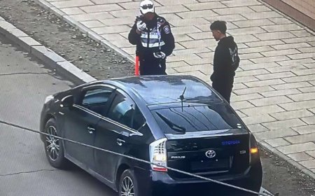 Улсын дугааргүй тээврийн хэрэгсэлтэй холбоотой  72 зөрчлийг илрүүлжээ