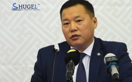 АН-ын даргаар О.Цогтгэрэлийг бүртгэх эсэхийг маргааш шийднэ