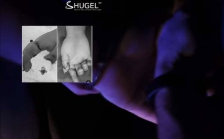 Магадлангаар суллагдсан эрийн гарт дөрвөн хуруугаа тасдуулсан хохирогч охиныг цагдаагийн байгууллагаас хамгаалалтанд авлаа