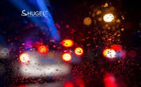 Улаанбаатарт шөнөдөө бага зэргийн бороо орно