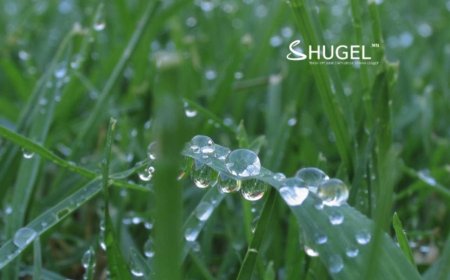 Цагаан шүүдэр, цагаан хярууны улирал эхэллээ