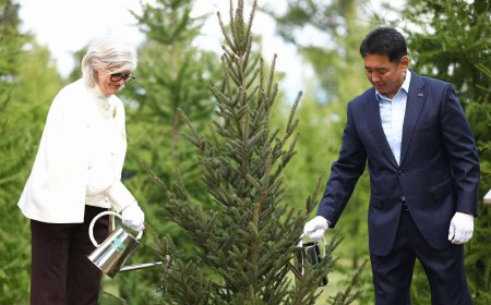 Ерөнхийлөгч У.Хүрэлсүх, Австралийн  Амбан захирагч Саманта Мостин нар дурсгалын мод тарилаа