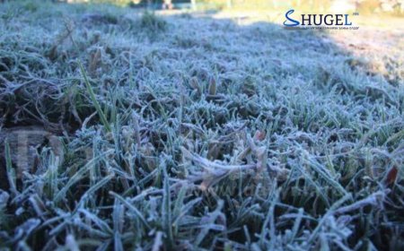 Халх голын сав газраар бага зэргийн бороо, уулархаг нутгаар ялимгүй цас орно