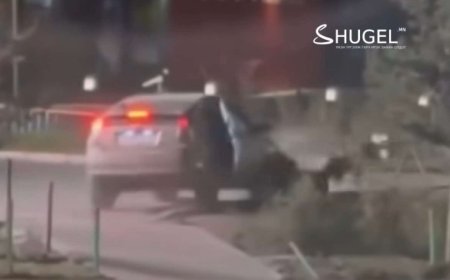 Машинаараа бусдыг санаатай  мөргөсөн этгээдийг тогтоон шалгаж байна