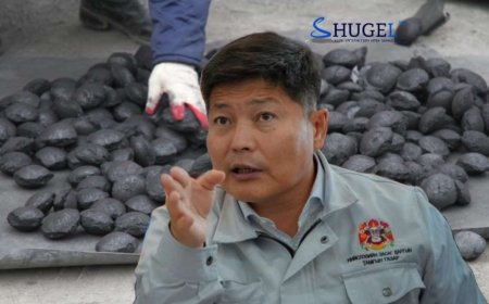 Галлагааны улирал эхэлж, шахмал түлш борлуулж эхэлжээ