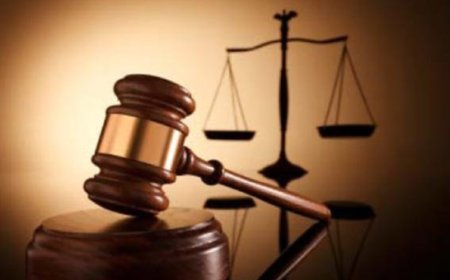 Шүүх арван сартай нярайн аминд хүрсэн 61 настай эрийн 14 жил хоригдох ялыг хэвээр нь баталж,  250.8 сая төгрөгийг гаргуулахаар болжээ