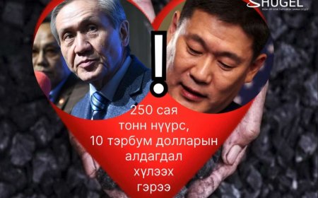 Л.Оюун-Эрдэнийн зүрх дарснаас болж ,  Ерөнхийлөгч асан  Н.Энхбаяр  ноцтой мэдээллийг олон нийтэд задлах гэж  гурван сар  хав даржээ