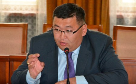 УИХ-ын гишүүн Ц.Туваан: Ивомек, цагаан тариаг малчид ямар ч хяналтгүй хэрэглэж байна,Эдгээр нь бүгд хор