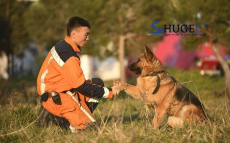 ''Марта'' нохой алга болсон хоёр настай хүүхдийг олохоор эрлийн багт нэгджээ 