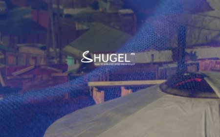 Хоёрхон хоногийн дотор  119 хүн угаартаж, 5 иргэн амиа алдлаа, маргааш хэд үхэх вэ?