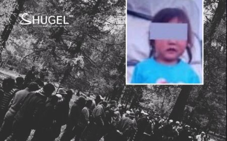 Хүүгийн цогцсыг өвсөн доороос олсон бөгөөд хэргийн газрыг хамгаалтанд авчээ