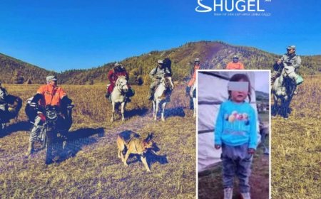 ХОЁР НАСТАЙ ХҮҮГИЙН ЦОГЦСЫГ ОЛЖЭЭ