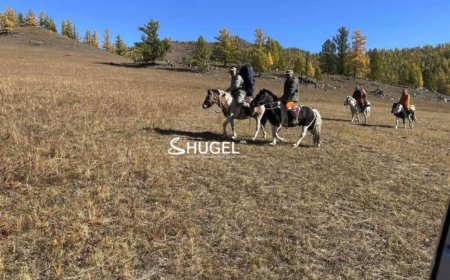 Самарт яваад сураггүй болсон 46 настай эмэгтэйг олоогүй байгаа бол Төв аймагт дахин нэг иргэн алга болжээ