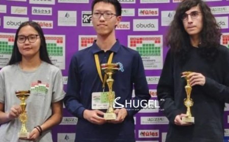 А.Оюун-Эрдэнэ логик паззлын дэлхийн аваргаас цом хүртлээ