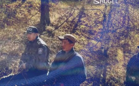 Сураггүй болсон иргэдийг хайх ажил үргэлжилж байна