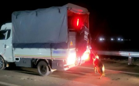 150 хүний нэг удаагийн хэрэглэх боломжтой бодисыг хураан авч хууль бус үйлдлийг таслан зогсоолоо