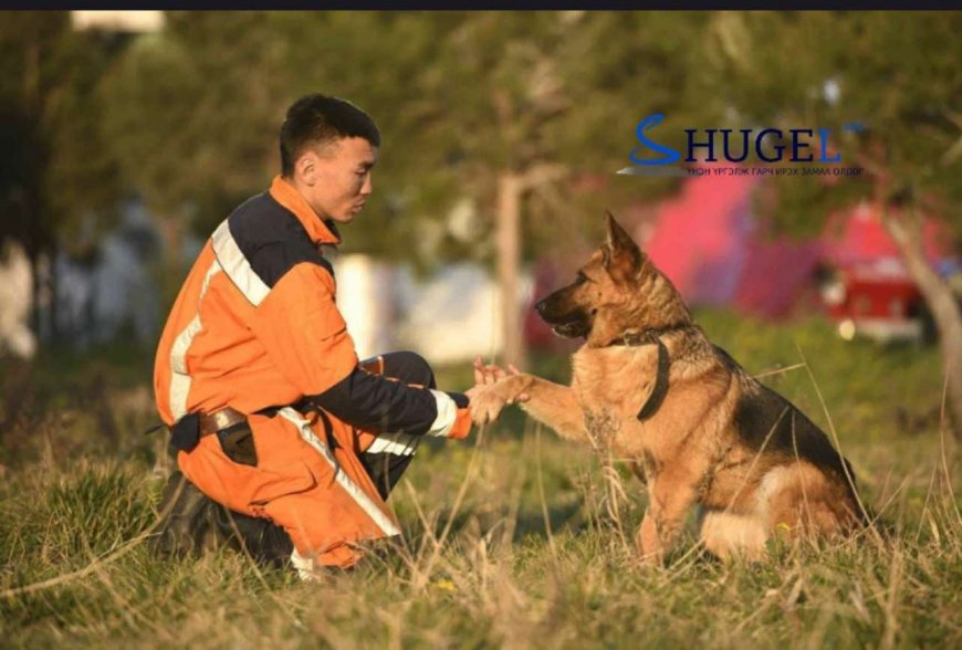 ''Марта'' нохой алга болсон хоёр настай хүүхдийг олохоор эрлийн багт нэгджээ 