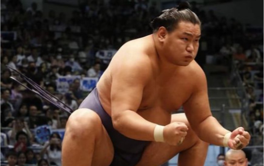 Хоёр ёкозүна ижил амжилттайгаар тэргүүлж эхэллээ