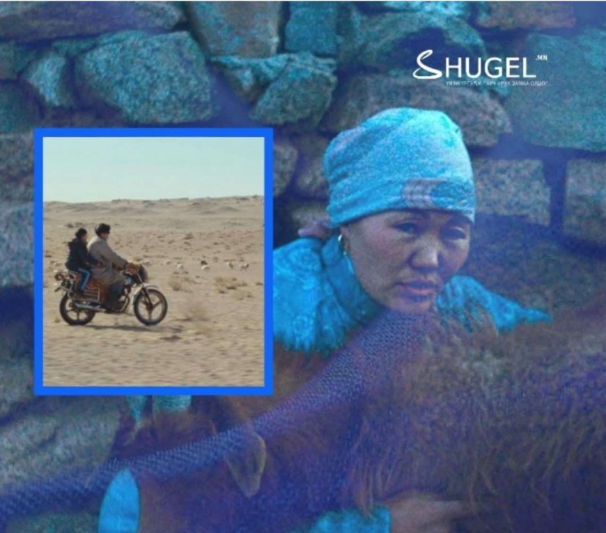 “Оскар”-т нэр дэвшээд байгаа''Чоно үүр шөнөөр ирдэг'' бүтээл Торгоны замын олон улсын кино наадмын шилдэг баримтат киногоор шалгарлаа