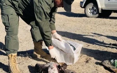 Хууль бус анчдаас 514.3 сая төгрөгийн нөхөн төлбөр гаргуулахаар болжээ