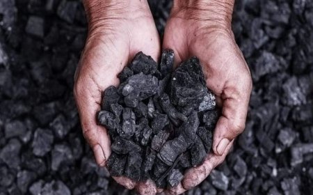 Прокурор: ''Нүүрс''-ний гэх хэрэгтэй холбоотой шүүхэд шилжүүлсэн хэргээс 20 хүнд холбогдох хэрэг хянан хэлэлцэгдээгүй