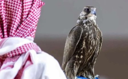 МОНГОЛ ШОНХОР 173,276 ам. доллараар  зарагдаж  ДЭЛХИЙН ДЭЭД АМЖИЛТЫГ ТОГТООЛОО