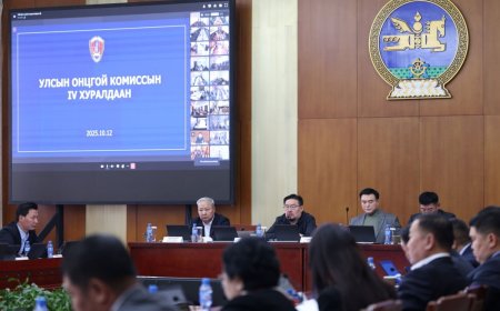 Засгийн газрын үйл ажиллагааг саатуулж, эс үйлдэхүй үзүүлж буй албан тушаалтнуудад хариуцлага тооцно