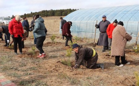 Өндөр хүчин чадал бүхий мод үржүүлгийн газар байгууллаа