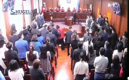 ҮХЦ-ийн их суудлын Ерөнхий сайдыг огцруулсан үйл ажиллагаа Монгол Улсын Үндсэн хуульд нийцсэн эсэх уг маргааны хуралдаан хаалттай горимд шилжлээ