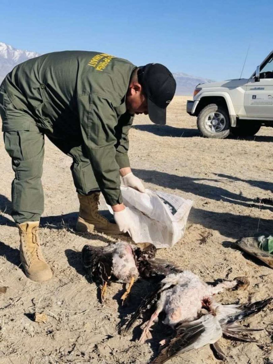 Хууль бус анчдаас 514.3 сая төгрөгийн нөхөн төлбөр гаргуулахаар болжээ