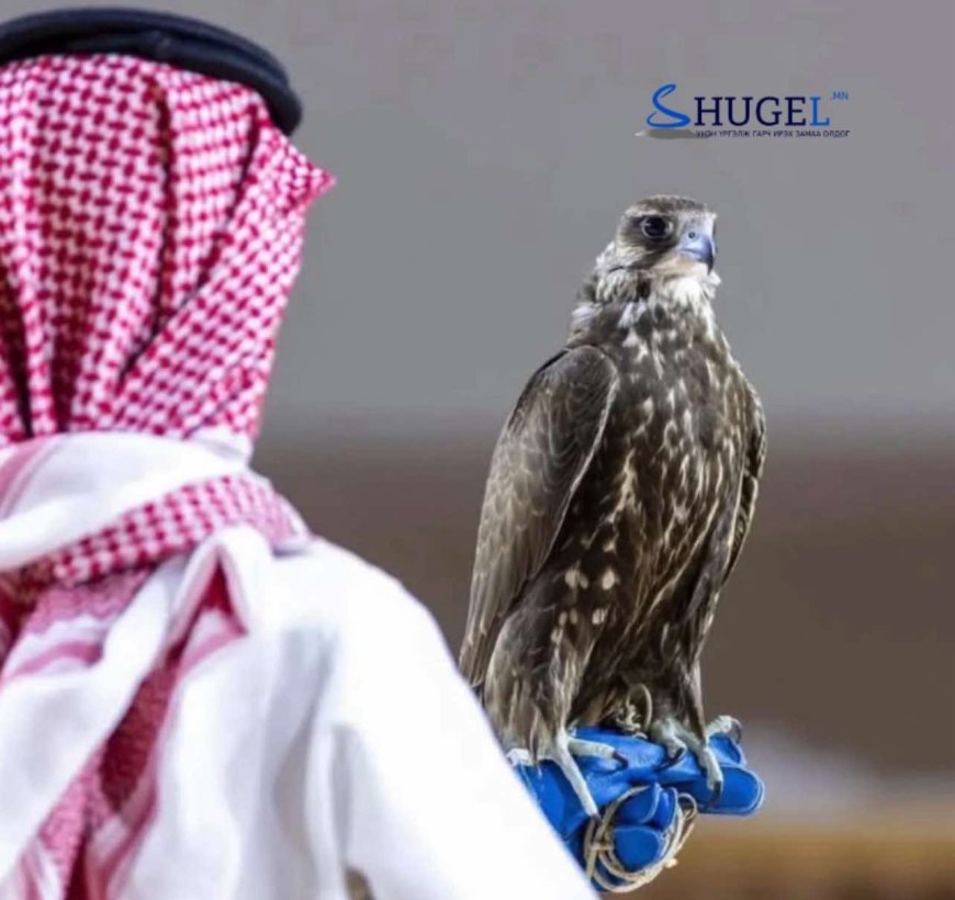 МОНГОЛ ШОНХОР 173,276 ам. доллараар  зарагдаж  ДЭЛХИЙН ДЭЭД АМЖИЛТЫГ ТОГТООЛОО