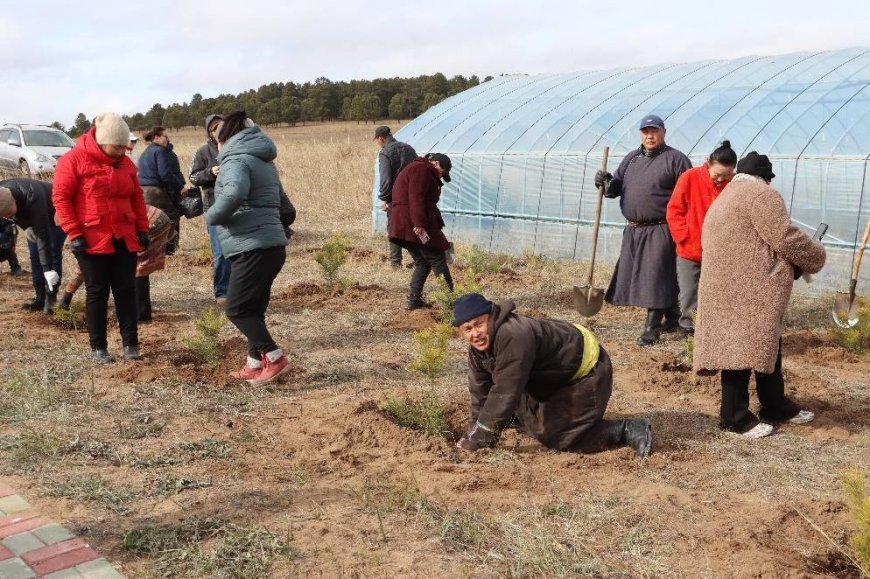 Өндөр хүчин чадал бүхий мод үржүүлгийн газар байгууллаа