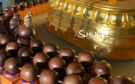 Билгийн тооллын 23,  Тахиа өдөр