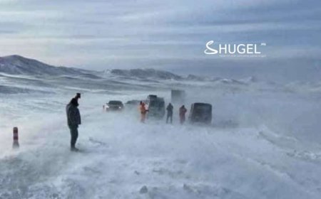 МАЛДАА ЯВААД ТӨӨРСӨН 13 НАСТАЙ ХҮҮГ ЭРЭН ХАЙЖ БАЙНА