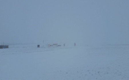 Малаа хариулж яваад төөрсөн 13 настай  хүүг  олжээ