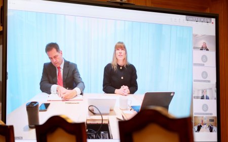 ''Оюутолгой'' компанийн гүйцэтгэх удирдлагаар монгол хүн томилох санал тавилаа