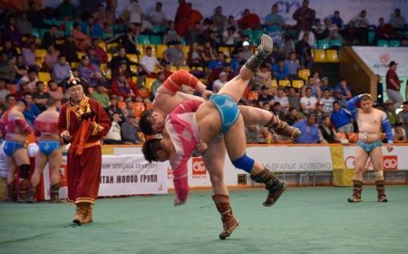 Азтай үзэгчид хурдан даага бэлэглэх барилдаан болно