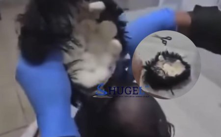 Хар тамхийг цаасанд шингээн дайж,  хиймэл үснийхээ доор нууж оруулж ирдэг болжээ