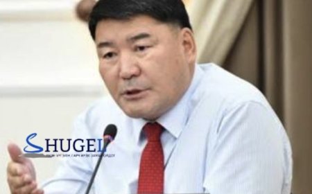 ШҮҮХ: УИХ-ын гишүүн Г.Ганбаатарын биед  халдсан этгээдэд  100 мянган  төгрөгөөр торгох шийтгэл оноожээ