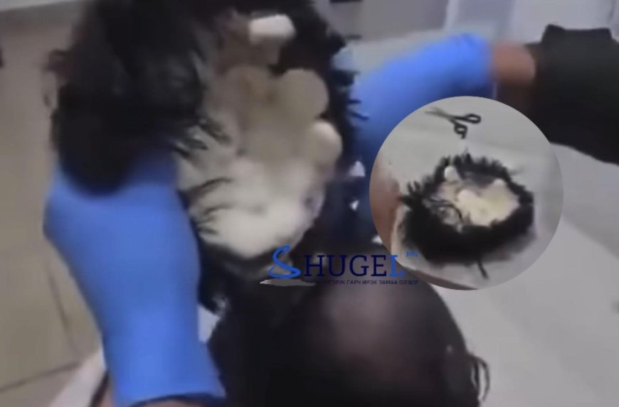 Хар тамхийг цаасанд шингээн дайж,  хиймэл үснийхээ доор нууж оруулж ирдэг болжээ