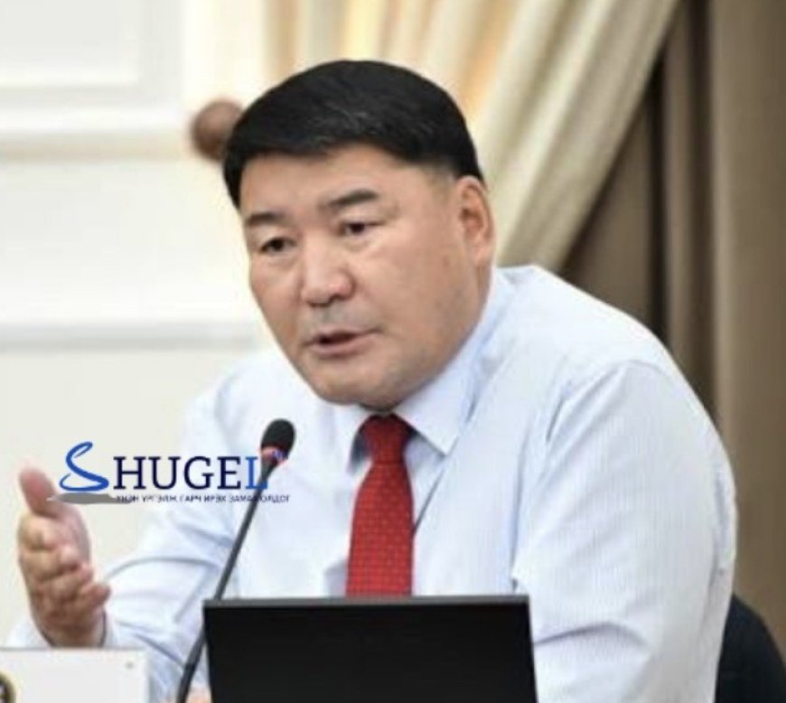 ШҮҮХ: УИХ-ын гишүүн Г.Ганбаатарын биед  халдсан этгээдэд  100 мянган  төгрөгөөр торгох шийтгэл оноожээ