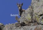 БОГДХАН УУЛЫН НҮХТИЙН АМНЫ ЯНГИРЫН СҮРЭГТ ШИНЭ ТӨЛ МЭНДЭЛЖЭЭ