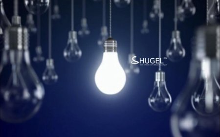Өнөөдөр буюу баасан гарагт цахилгаан шугам сүлжээнд хийх засварын хуваарийг танилцуулж байна