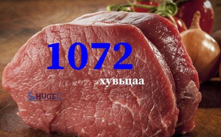 1072 ХУВЬЦАА: ГАНЦ КГ МАХНЫ МӨНГӨ ОРЛОО