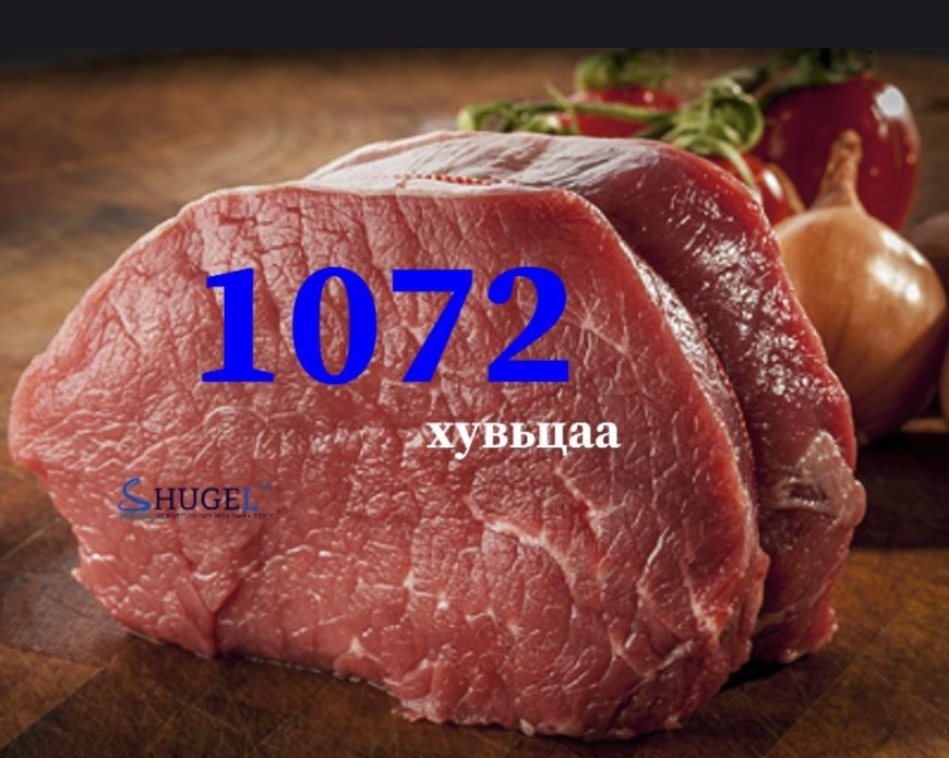 1072 ХУВЬЦАА: ГАНЦ КГ МАХНЫ МӨНГӨ ОРЛОО